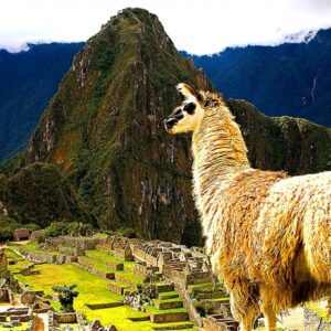 MACHU PICCHU BY CAR